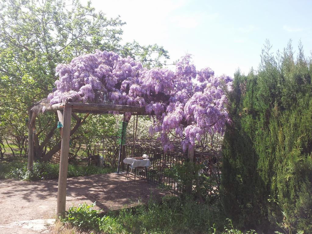 El Molino De Las Palomas Carcabuey Екстер'єр фото